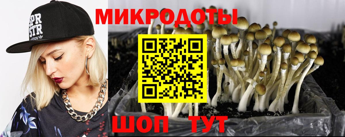 Псилоцибиновые грибы GOLDEN TEACHER Балашов